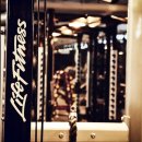 고릴라 짐 이미지