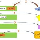 [푸른약국 약력관리 소프트웨어] 정식으로 무료 배포, 서비스를 시작합니다. ＜숲과 나무를 같이 바라봅시다＞ 이미지