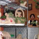 영등포시장지하도상가 이미지