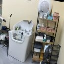 들려보개 펫살롱 이미지