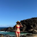 제이리본PT 이미지