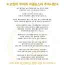 잔다냥 이미지