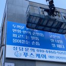 푸스케어대전신탄진점 | 신탄진 푸스케어 / 고급스러운 플렉스+채널 간판의 조화