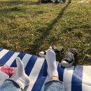 뚝섬한강공원-49 이미지