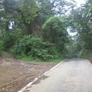 사상의학 반룡한의원 이미지