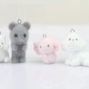 펫 포포즈 이미지