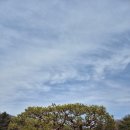 시간따라 장소따라 세계를 알자 | 여주 세종대왕 영릉 방문 후기 – 과학과 전통, 세계유산의 가치