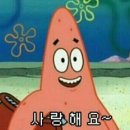 에제르헤어 이미지