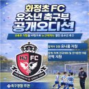 대전화정초등학교 네이버블로그