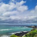 애월한담해안산책로 | 제주여행 곽지 잠녀의 길 애월 한담해안산책로 주차 후기