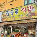 만덕청과 이미지
