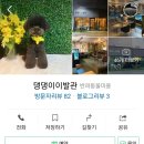 평택이발관 네이버블로그