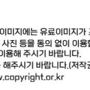 서동대로 8809번길 4 이미지