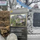 여수 가볼만한 곳, 금오산 향일암