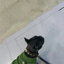 요미페어