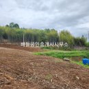 과수원민박 - 영주시 부석사로298번길 35-1 | 과수원민박