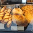 브레드정j 이미지