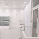 센트퍼피 이미지