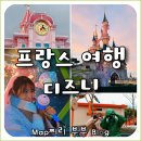 주식회사 어셈블 - 남양주시 | 프랑스 파리 월트 디즈니랜드 스튜디오 일루미네이션 퍼레이드 여행 후기