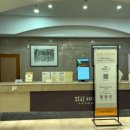 제주로베로 | 제주 로베로 호텔 내돈내산 동문시장 야시장 및 근처 맛집 후기