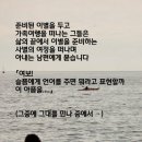 봉선화의원 이미지