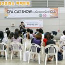 퍼펙트독 이미지