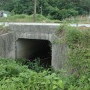 일동하와이 이미지