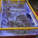 청해상회 이미지