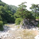 증산 주차장 화장실 이미지