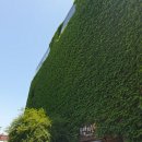 염주노래연습장 | [서울] #종로_덕수궁