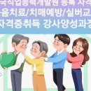 실버체조체육지도사 양성 과정 이미지