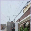 팽성남산길 | 포승읍 1톤트럭 투룸 이사 경험과 용달 서비스 후기