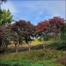 어민동산 이미지