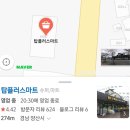 사지목나무그늘 이미지