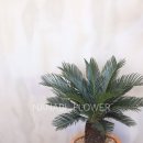 사파동418 이미지