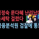 금융정보분석원, 김정숙과 문다혜 돈세탁 의심 포착 검찰에 통보...부동산 매입 성창경TV﻿ 이미지