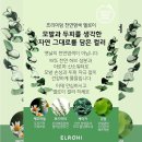 쌤시크만촌아크로 네이버블로그