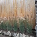 더(the) 머물다 펜션 이미지