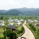파라다이스스파도고캠핑장 이미지