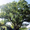 죽봉마을회관 이미지