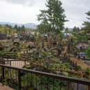 the새차처럼 이미지