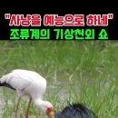 @지구생명탐방 현존 최장수 척추동물, 500년 이상 살수있는 상어의 비밀 자연 다큐보다 더 웃긴 새들의 사냥 기술 이미지