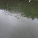 봉낚시터 이미지