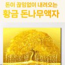 황금나무 이미지