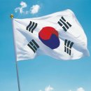 뉴부산관광