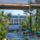 웰컴짐 | [발리] 사누르 리조트 후기 - 스위스벨리조트 왓투짐바르, 수영장, 조식, 웰컴드링크