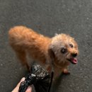 광산-하남-광산-71 | 8월 일상 (2)