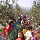 시민유치원 이미지