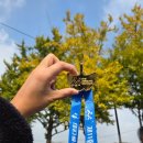 알리바이 | 2025 아산 은행나무길 마라톤 대회 10km 후기-알리바이 선글라스 착용 후기