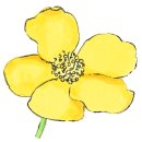 치유원예테라피 이미지